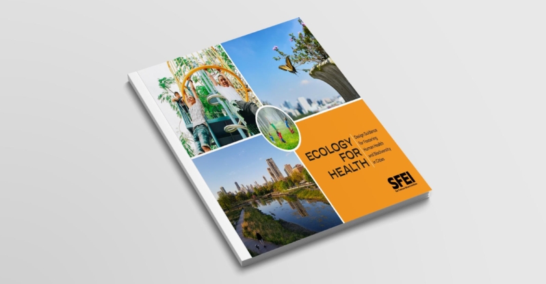 An overhead view of the report called Ecology for Health